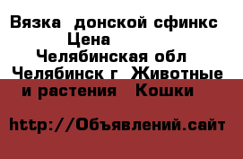Вязка- донской сфинкс › Цена ­ 1 000 - Челябинская обл., Челябинск г. Животные и растения » Кошки   